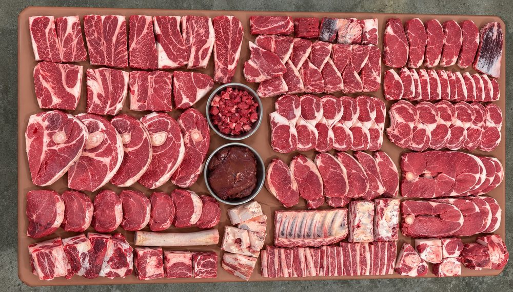 A whole beef share laid out on the board: the full year of steaks, roasts, ribs and ground beef, seen from above